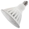 Feit Electric PAR38 LED Light Bulb, 325W Equivalent, Outdoor Flood