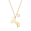AOAMID Horse Necklace for Female,Initial Necklaces for Women, Small and