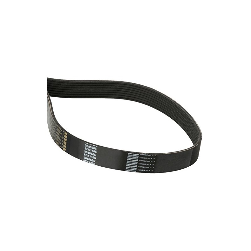 Dayco 5080585 Serpentine Belt