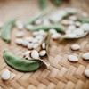 Thresh Seed Co. Henderson Bush Lima Bean - 50 Seeds - Heirloom White Butter Bean Variety, USA-Grown, Non-GMO Baby Lima Bean Seeds for Planting Outdoors in The Home Garden, Thresh Seed Company