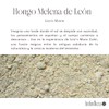 Hongo Melena de León con Cedrón 30 g | Lions