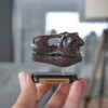 73501 Dinosaur T-Rex Skull Mini Model (FDW – 501)