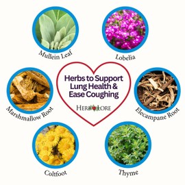 Herb Lore Quiet Cough Tincture - Mullein Leaf Drops for Lungs - Soothes Dry & Productive Coughs - 2 fl oz