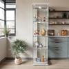 WRTEYEUI Glass Display Cabinet, 4-Tier Curio Storage Cabinet Glass Display
