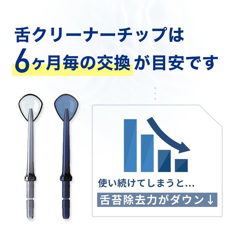 Waterpik Zungenreiniger fürWP-100E4 und WP-450E4 (2 Stck.)