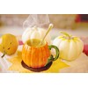 Pumpkin Pie Spice Blend 100g Aromatic Autumn Spice Mix |
