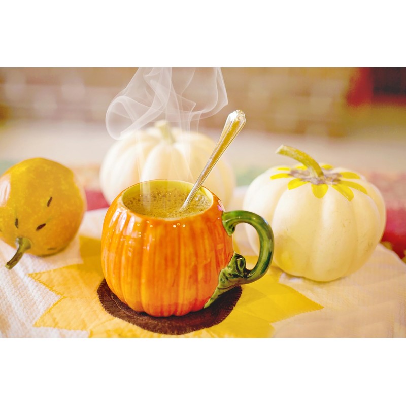 Pumpkin Pie Spice Blend 100g Aromatic Autumn Spice Mix |