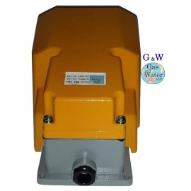 GW G&W Cast Reinforced Foot Switch Pedal 15A 250 VAC SPDT Heavy Duty Guard