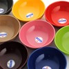 Emile Henry (Hyundai Hmall) Ceradon Soup Bowl 14.5cm 1p Color