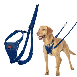 HALTI No Pull Harness - to Stop Your Dog Pulling on The Leash. Adjustable, Lightweight and Easy to Use. Reflective Dog Training Harness for Medium Dogs (Size M, Cobalt Blue)