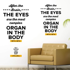 The Eyes Wall Decal - 0513 - After the brain the eyes are the most complex organ in the body - Optometrist Wall Art
