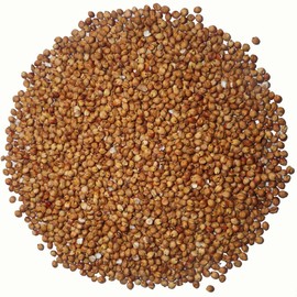 Ozoku Ozuya Takakibi Great Millett Millet Milgrain Millet Millet Milgrain Rice Shrimp High Cranch Coryan Solgum 5 Grain Moroccan Moroccan Rozoku Syrie Great Millett Millet Millet Millet Milgrain Milgrain Millet Millet Milgrain Milgrain Milgrain Rice