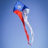 In the Breeze 3357 — Texas 77" Wave Delta Kite