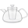 Teabloom Innovative Filtered Borosilicate Glass Teapot With Microdot Loose Tea