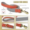 QRDA Dog Collar and Leash Set Silver Gray Adjustable Durable