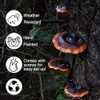 JAVERGGN Pack of 5 Mushroom Shelf Wall Decoration Small Wall
