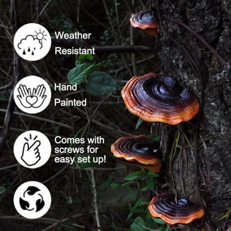 JAVERGGN Pack of 5 Mushroom Shelf Wall Decoration Small Wall