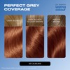 Clairol Lasting Colour Permanent Hair Dye | Perfect Grey Coverage