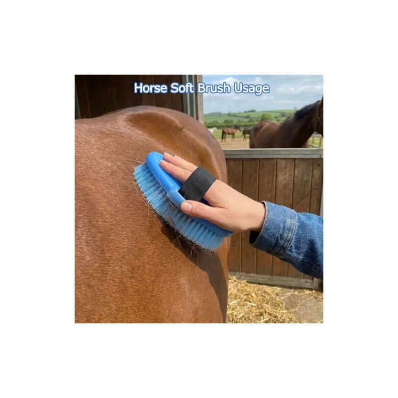 Kit De Aseo Para Caballos 13 Piezas Con Bolsa Organizadora