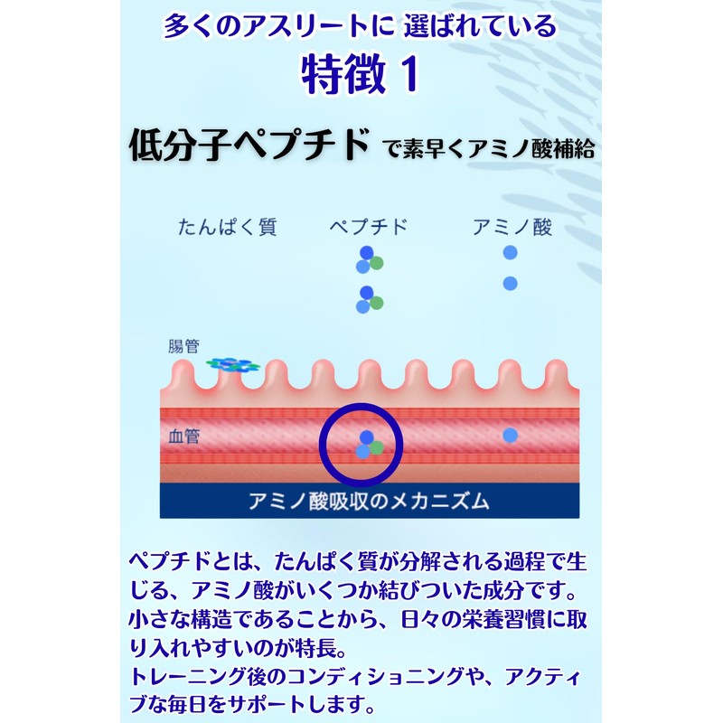 A for Athletes from Sakana