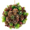 Northlight Frosted Pinecones, Berries and Pine Sprigs Christmas Ball Ornament