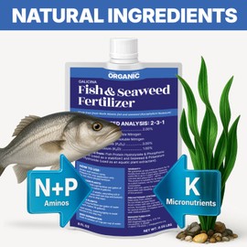 Fish & Seaweed Fertilizer (2-3-1) | All Purpose Liquid Plant Food for Indoor Plants & Outdoor Garden, Vegetables & Flowers | All-Natural Fish & Seaweed Formula Potted Plants & Garden Flowers (8 oz)