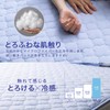 HOMECOCCI Cooling Pillow Pad, Cool Feeling (Soft & Cooling Feeling),