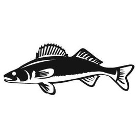 Express Yourself Products Walleye (Black - Reverse Image - Medium) Decal Sticker - Freshwater Fish Collection