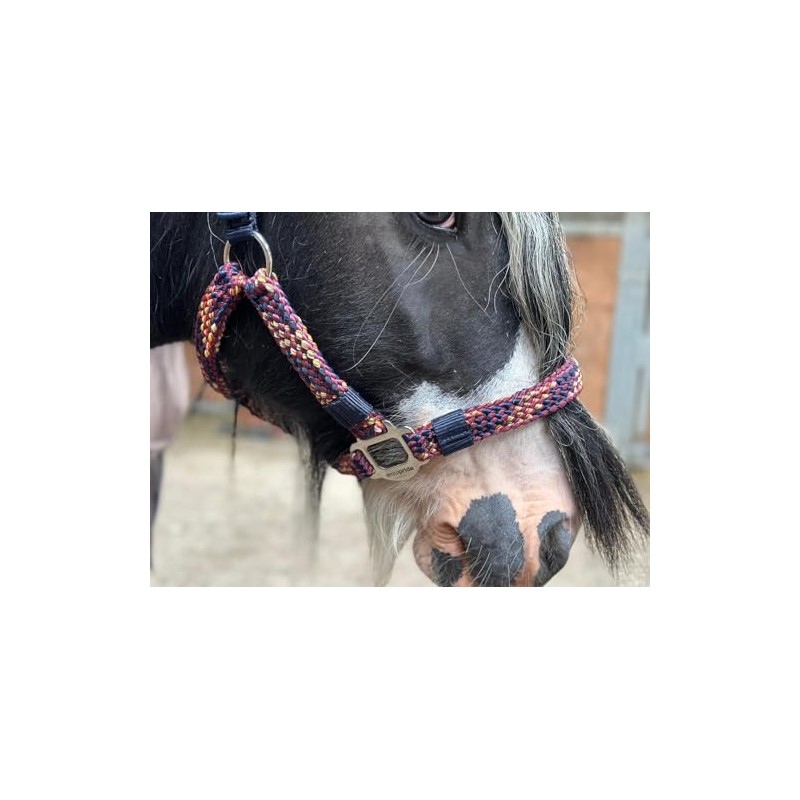 Equipride Braided Headcollar Lead Rope Set Size Full-Shetland Flame (Shetland)
