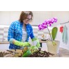 Better-Gro Sun Bulb 5011 Better-Gro Phalaenopsis Mix, 8 Quarts