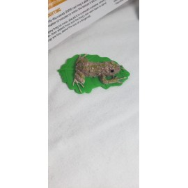 YOWIE Mutable Rain Frog Collectible Miniature Figurine Animals with Super Powers