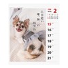 2026 Calendar Chihuahua Senryū (Weekly Flip)