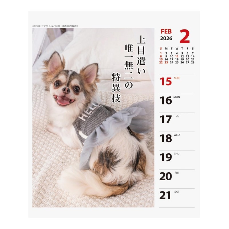 2026 Calendar Chihuahua Senryū (Weekly Flip)