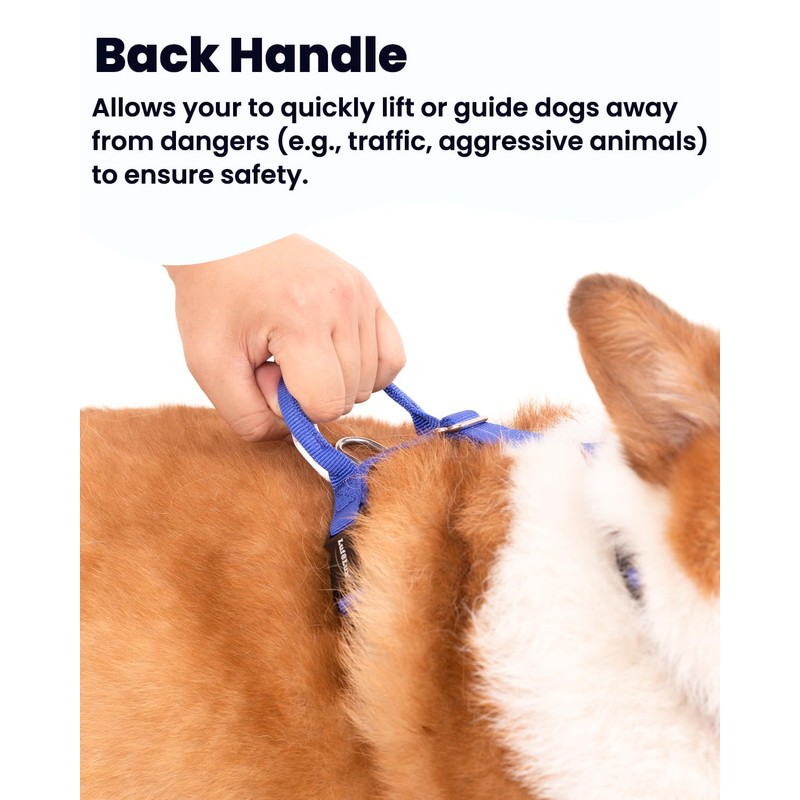 LufeLux Non Restrictive Large Dog Harness, Easy Walk Freedom No