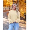 Zeagoo Women's 2025 Fall Turtleneck Sweaters Trendy Loose Long Sleeve