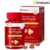 Red Propolis Flavonoid Brazilian Propolis Immunity / 레드프로폴리스 플라보노이드 브라질프로폴리스