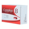 Progela Complejo B Vitaminas Y Minerales 30 Cap
