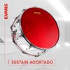 EVANS | Hydraulic | Parche para Bombo | 22 Pulgadas