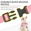 PUPTECK Soft Mesh Dog Harness and Leash Set Pet Puppy