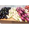 RAISE ME UP: Seeds Eggplant Long Mix Non GMO Heirloom