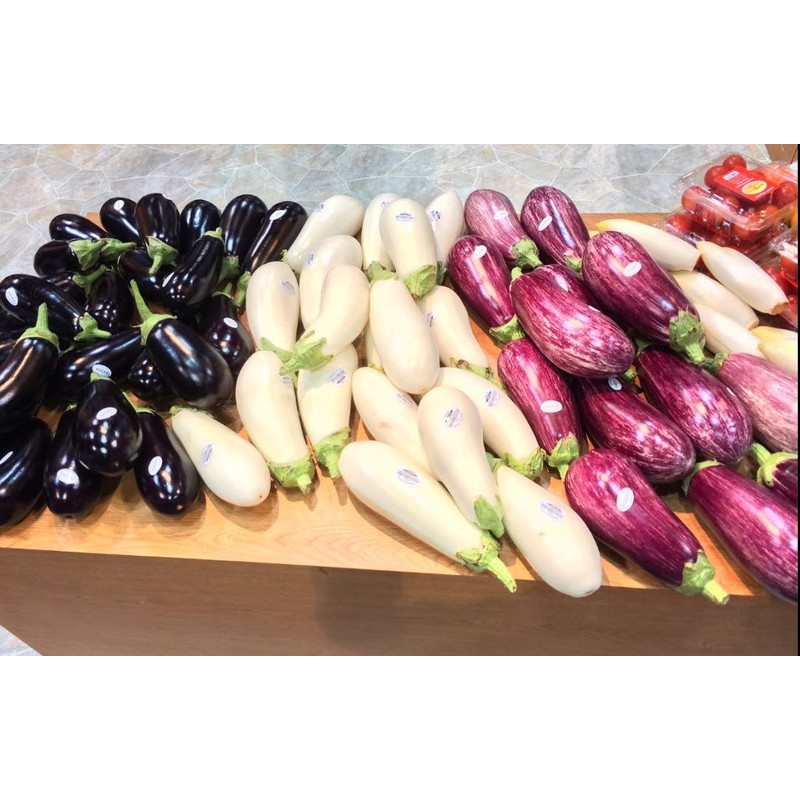RAISE ME UP: Seeds Eggplant Long Mix Non GMO Heirloom
