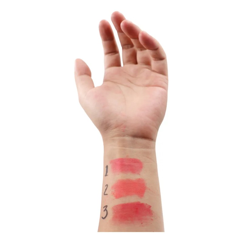 Rubor Blush Con Esponja Air Cushion Puff Polvo Rubores 01
