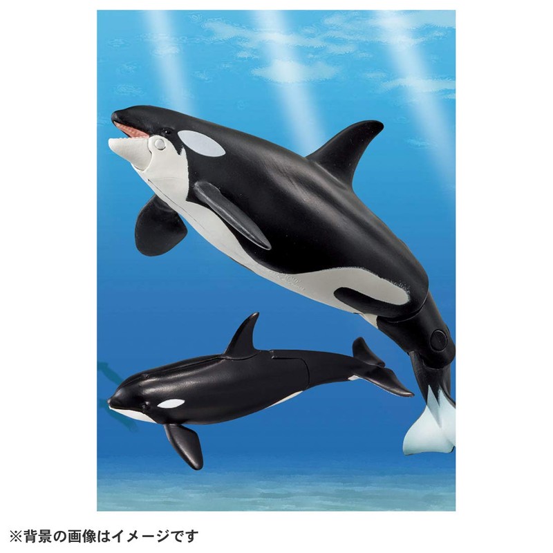 Takara Tomy AL-08 Killer Whale (Floating Ver.) Animal Dinosaur Toy