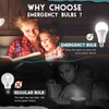 4 Pack Rechargeable Emergency Light Bulbs, Battery Powered LED Light