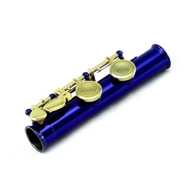 Sky Open Hole C Flute with Lightweight Case, Cleaning Rod, Cloth, Joint Grease and Screw Driver (Blue/Gold Open)