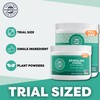 Vimergy Spirulina Powder – Concentrated Plant Protein Supports Immune Health