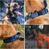 OneTigris Hunde Halsband mit Metallschnalle für Hunde