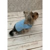 Knitting Pattern for Dogs Jumper, 4 Sizes Included, Aran Yarn,