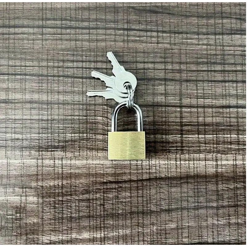 Padlocks with Keys 20mm Mini Padlock for Locker Suitcase Luggage