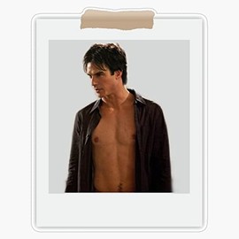 Ian Somerhalder polaroid Bumper Sticker Vinyl Decal 5 inches